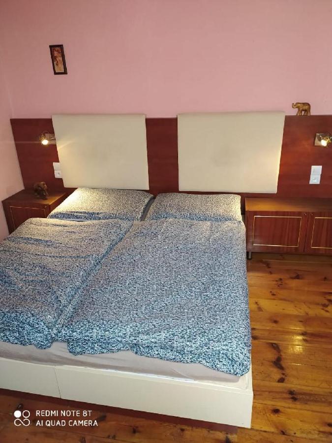Penzion U Lipy Decin Exterior photo
