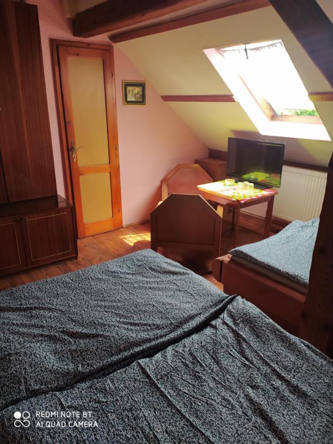 Penzion U Lipy Decin Exterior photo